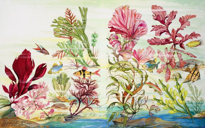 Onderwaterplanten (gouache op papier) door English School
