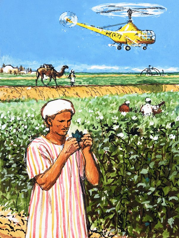 Onbekende Arabische boer met kameel en helikopter op de achtergrond door English School