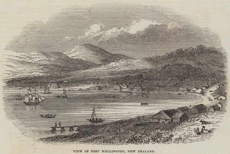 Uitzicht op Port Wellington, Nieuw-Zeeland (gravure) door English School