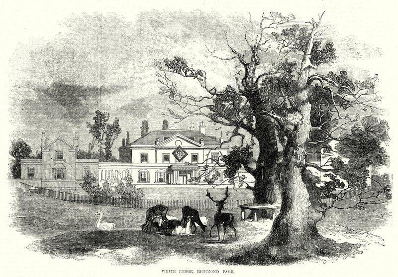 White Lodge, Richmond Park (gravure) door English School