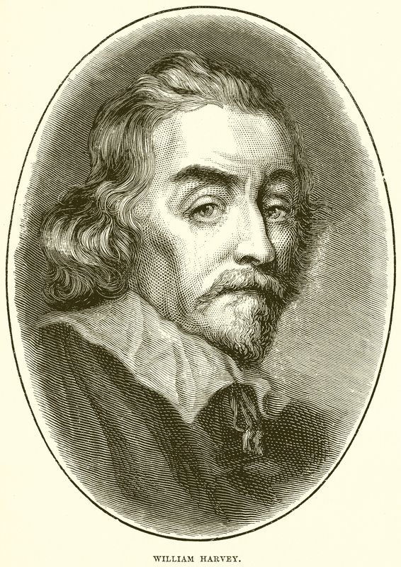 William Harvey door English School