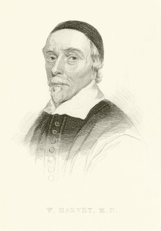 William Harvey door English School