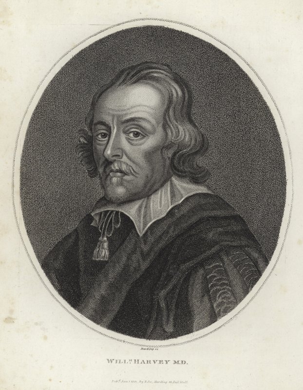 William Harvey door English School