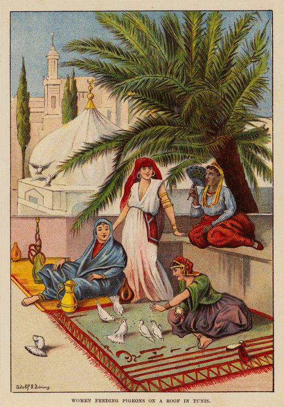 Vrouwen die duiven voeren op een dak in Tunis door English School