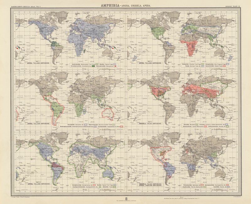Zoogeografie: Amphibia, Anura, Urodela, Apoda door English School