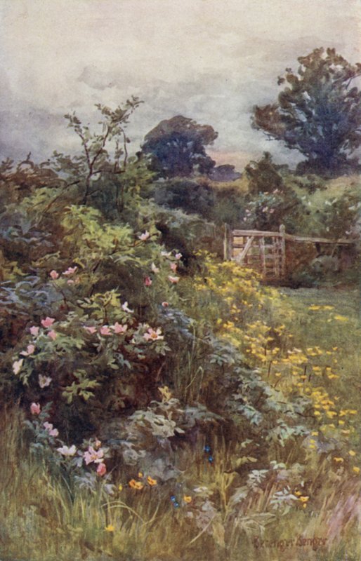 De heerschappij van de roos door Ernest Benger or Berenger
