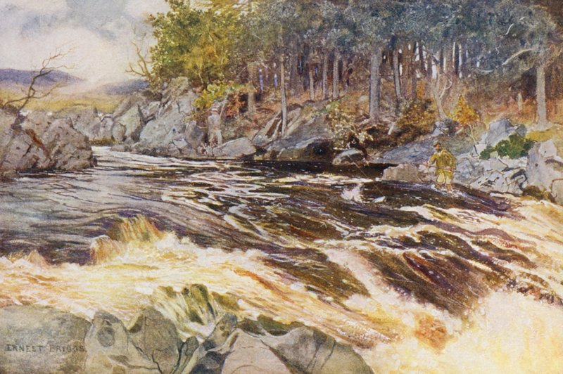 Zalmvissen op de Ken, een kritiek moment door Ernest Edward Briggs