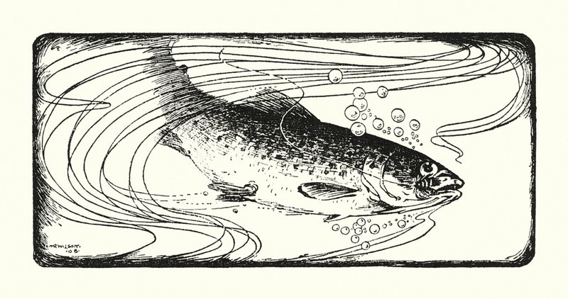 Zalm gevangen door Ernest Edward Briggs