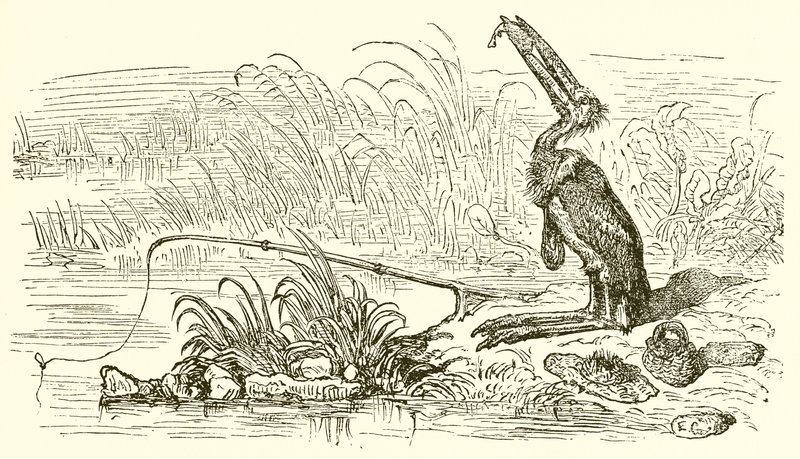 De visser en de kleine vis door Ernest Henry Griset