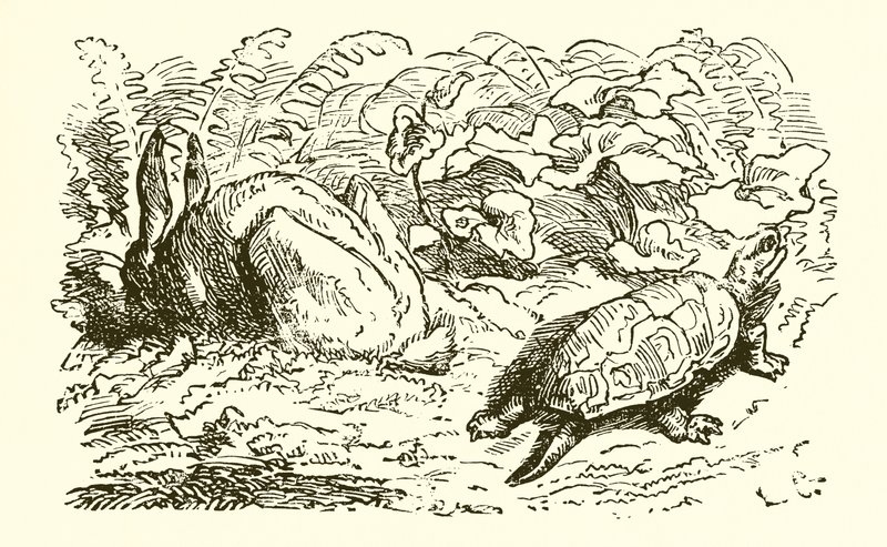 De haas en de schildpad door Ernest Henry Griset