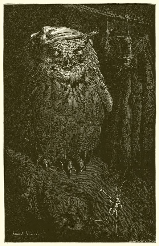 De uil en de sprinkhaan door Ernest Henry Griset