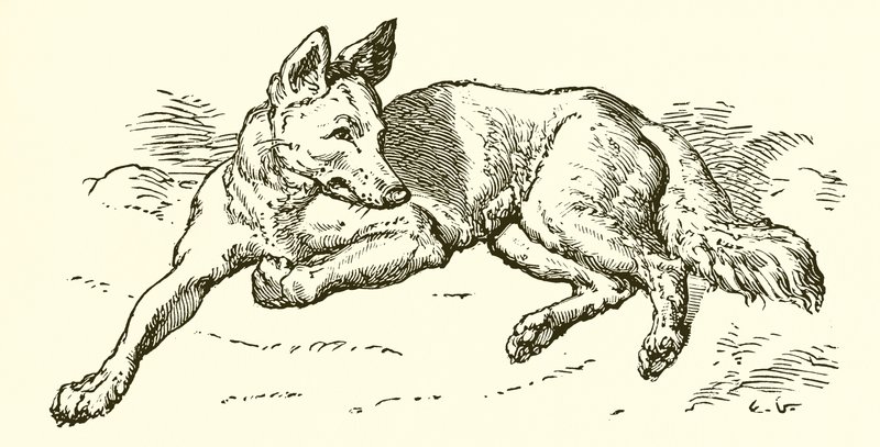 De Wolf in Schaapskleren door Ernest Henry Griset