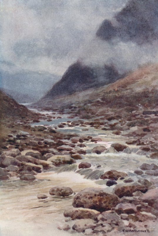 Tavy Cleave door Ernest William Haslehust