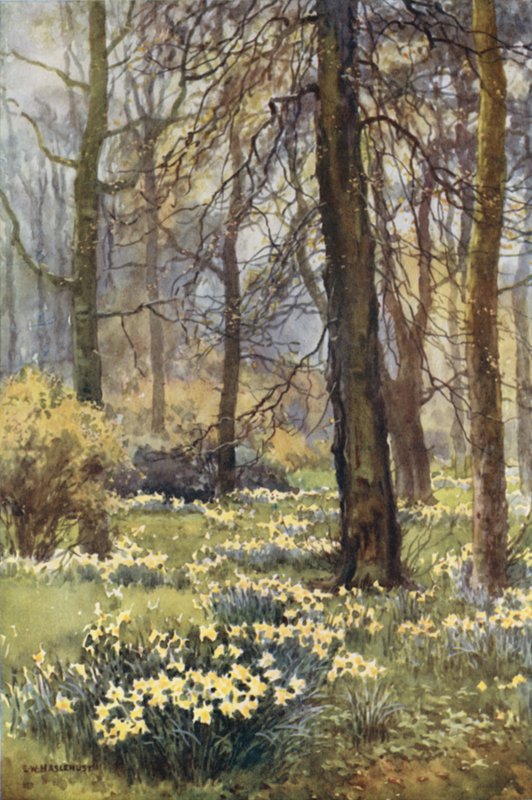 De Wildernis in de Lente door Ernest William Haslehust