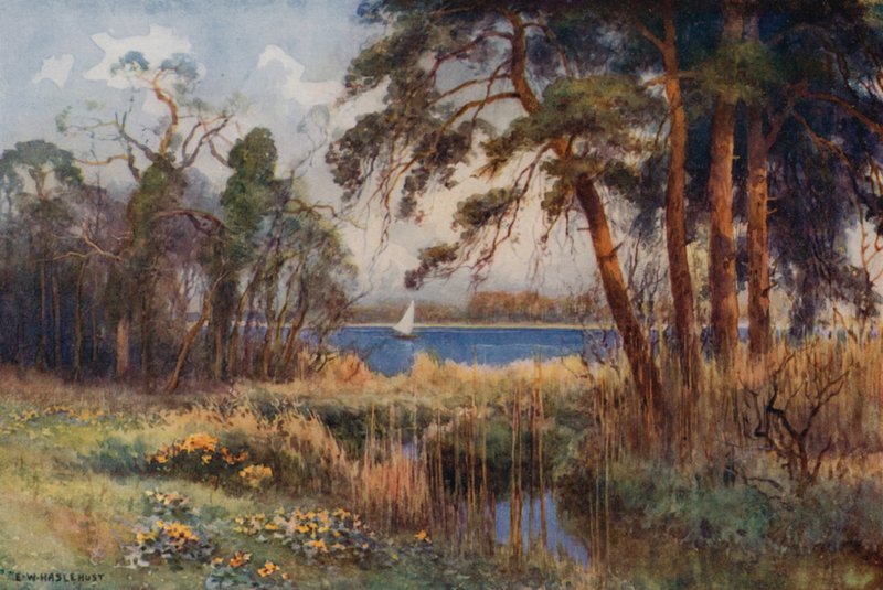 Wroxham Broad, vroege lente door Ernest William Haslehust