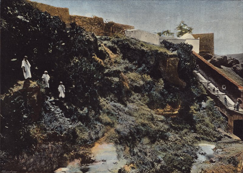 De Kloof van de Oued-Toudman, in Mascara door European Photographer