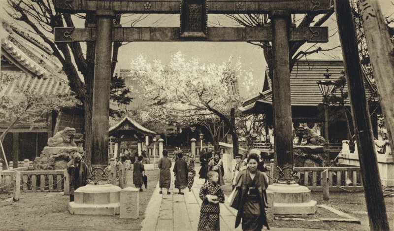 Japan, Straat in Tokio, tijd van de kersenbloesem door European Photographer