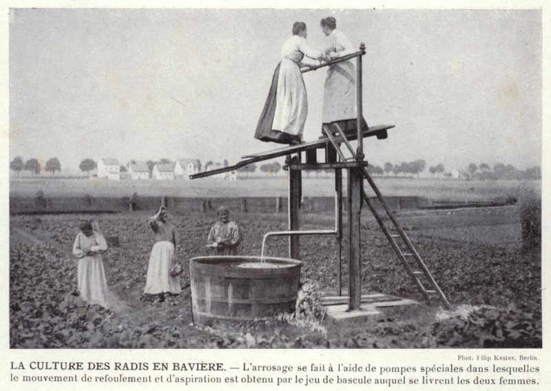 De Radijsteelt in Beieren door European Photographer