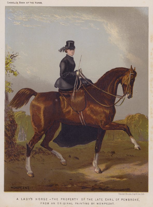Het paard van een dame, eigendom van de overleden graaf van Pembroke door European School
