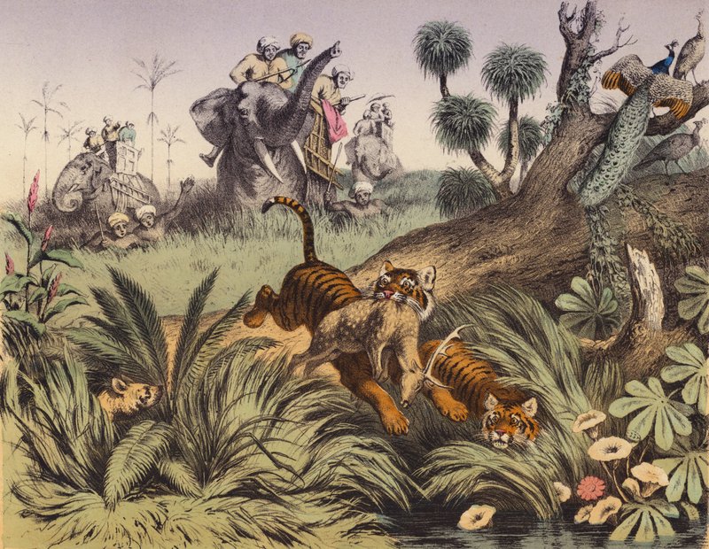 Een jacht in de Indiase jungle door European School