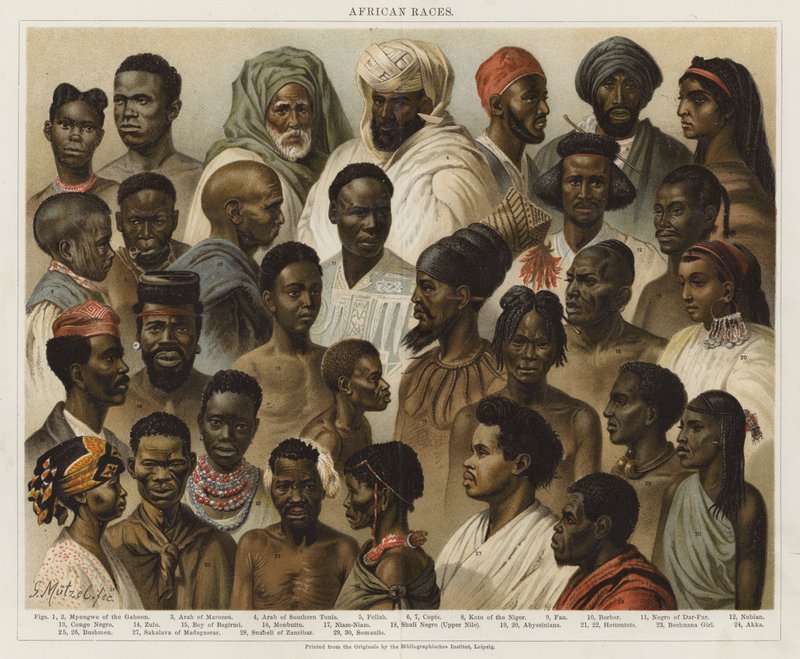 Afrikaanse Rassen door European School