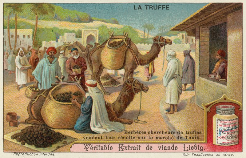 Berbers inspecteren de truffels te koop op de markt in Tunis door European School