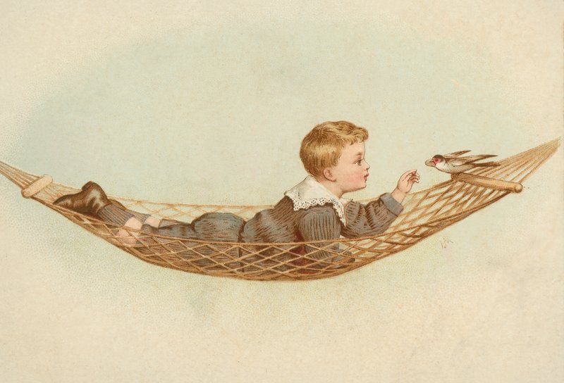 Jongen liggend in een hangmat die een vogel voedt door European School