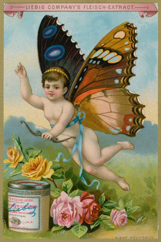 Vlinder Cherub met Rozen door European School