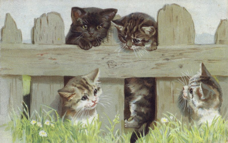 Vier kittens bij een hek (chromolitho) door European School