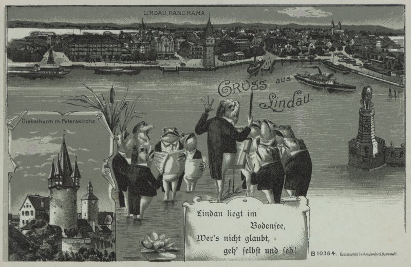 Kikkerconcert in Lindau (litho) door European School