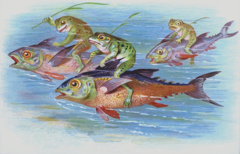 Kikkers die op vissen rijden (chromolitho) door European School