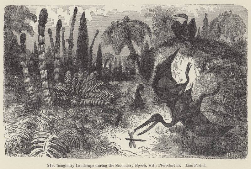 Denkbeeldig landschap tijdens het Secundaire Tijdperk, met Pterosauriërs, Lias-periode door European School