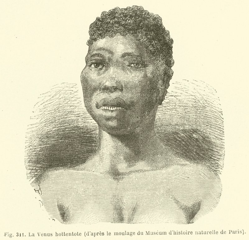 De Venus hottentot, volgens de mal van het Museum voor Natuurgeschiedenis van Parijs door European School