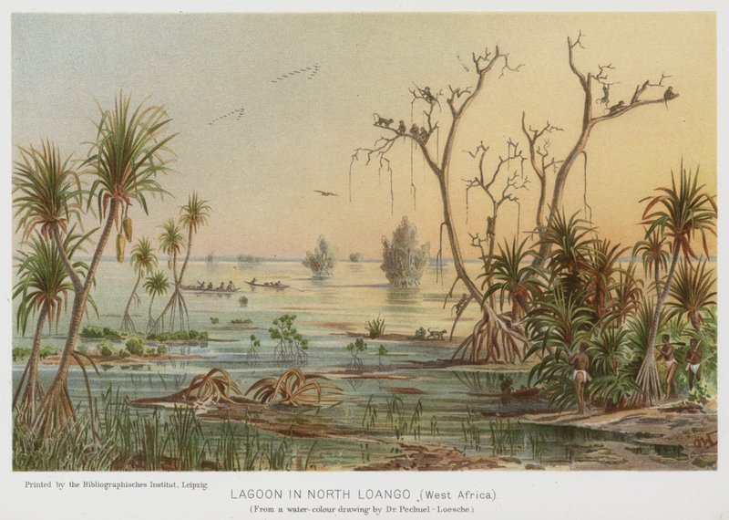 Lagune in Noord-Loango, West-Afrika door European School
