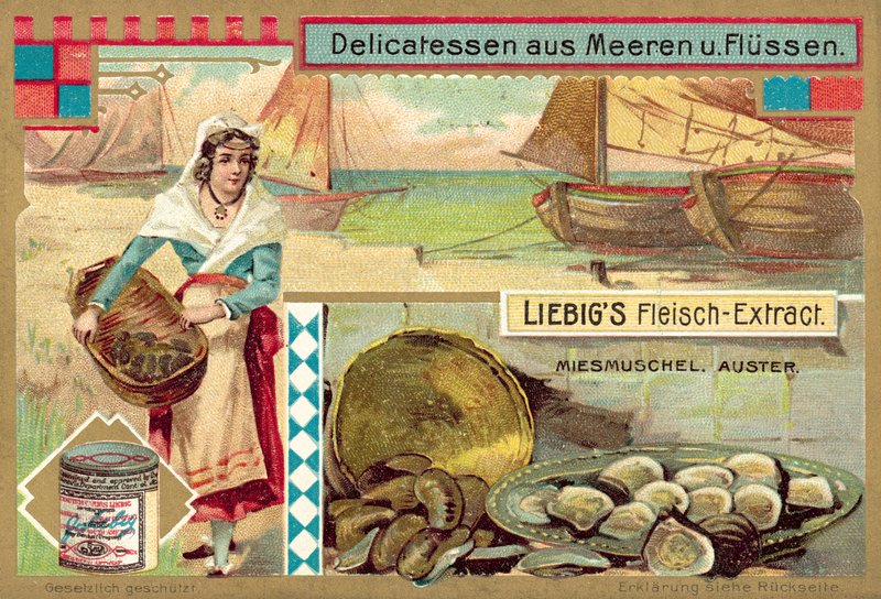 Mosselen en oesters door European School