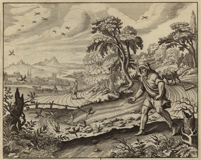Parabel van de Zaaier door European School