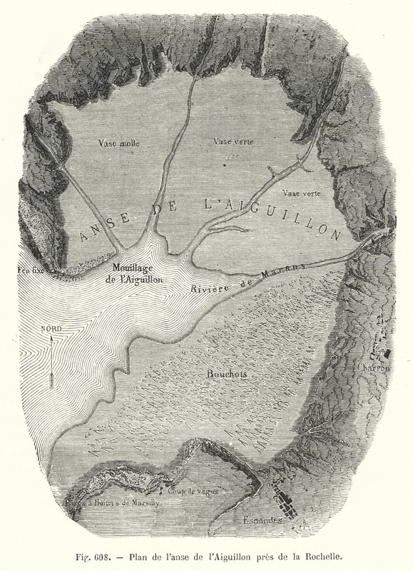 Plan van de baai van l