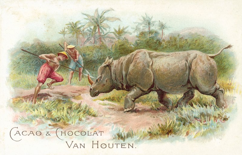 Neushoorn onder aanval door European School