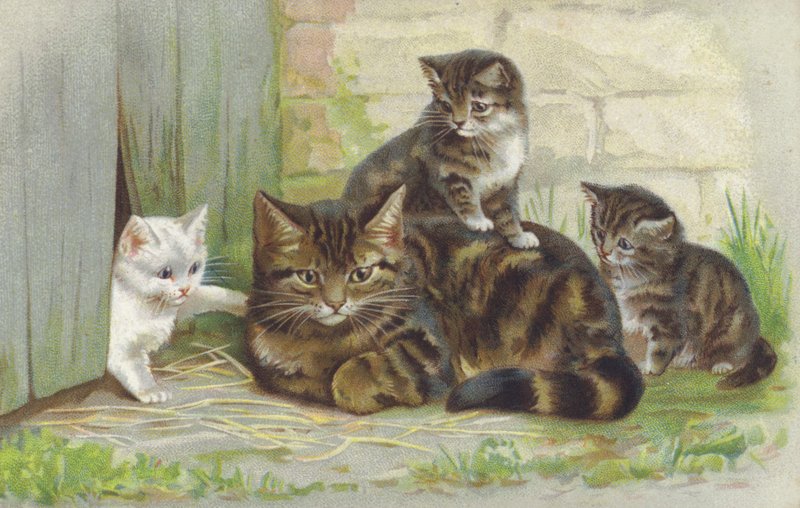 Tabby poes met drie kittens (chromolitho) door European School
