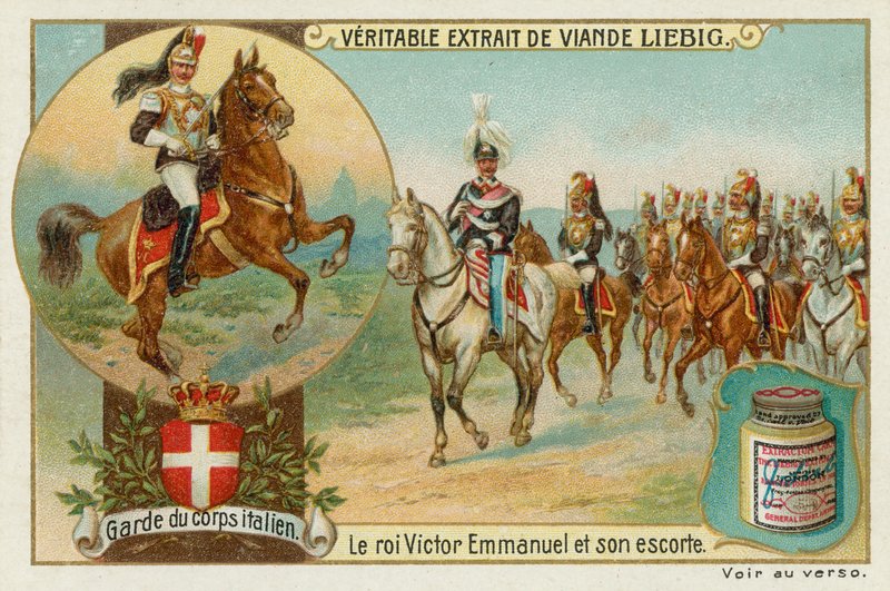 De lijfwacht van de Italiaanse koning door European School