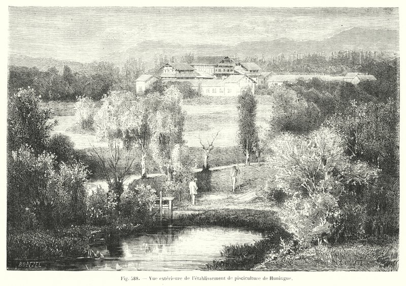 Exterieur van de viskwekerij van Huningue (gravure) door European School