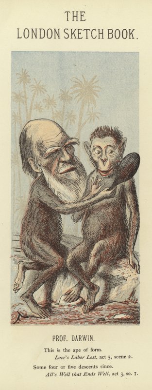 Karikatuur van Charles Darwin door Faustin