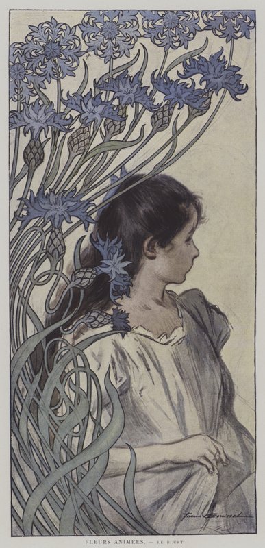 Geanimeerde bloemen: de korenbloem (kleur litho) door Firmin (after) Bouisset