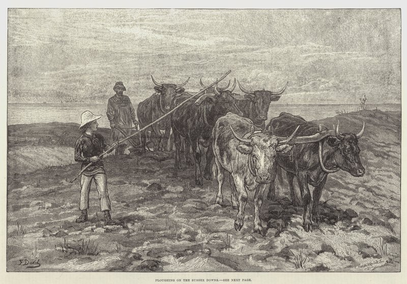 Ploegen op de Sussex Downs door Frank Dadd