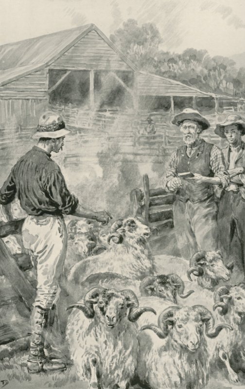 Een schapenstation op Canterbury Plains door Frank Dadd