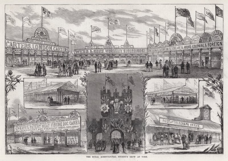 De tentoonstelling van de Koninklijke Landbouwmaatschappij in York door Frank Watkins