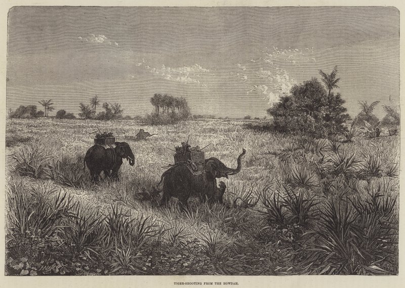 India en de Prins van Wales, Tijgerjacht vanuit de Howdah door Frederic Theodore Lix