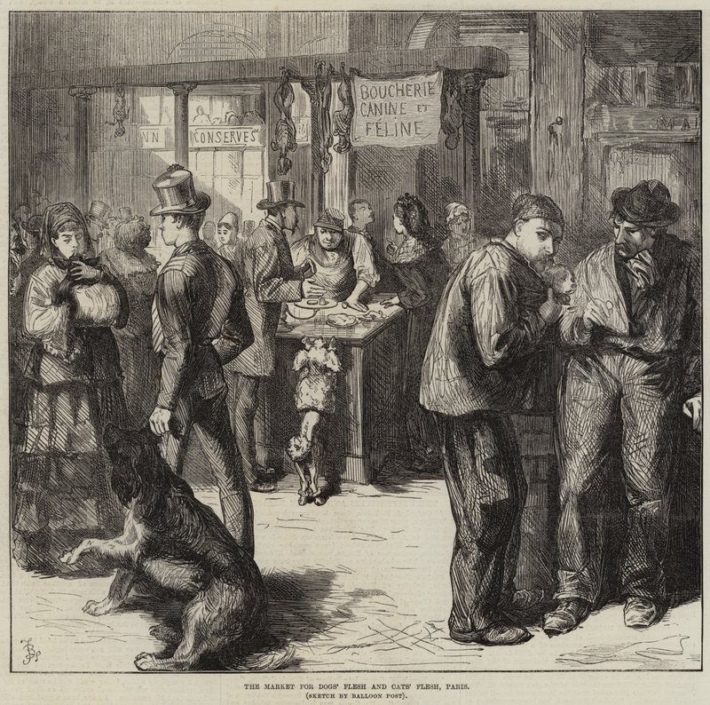 De markt voor honden- en kattenvlees, Parijs door Frederick Barnard