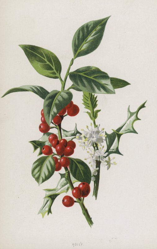 Hulst door Frederick Edward Hulme