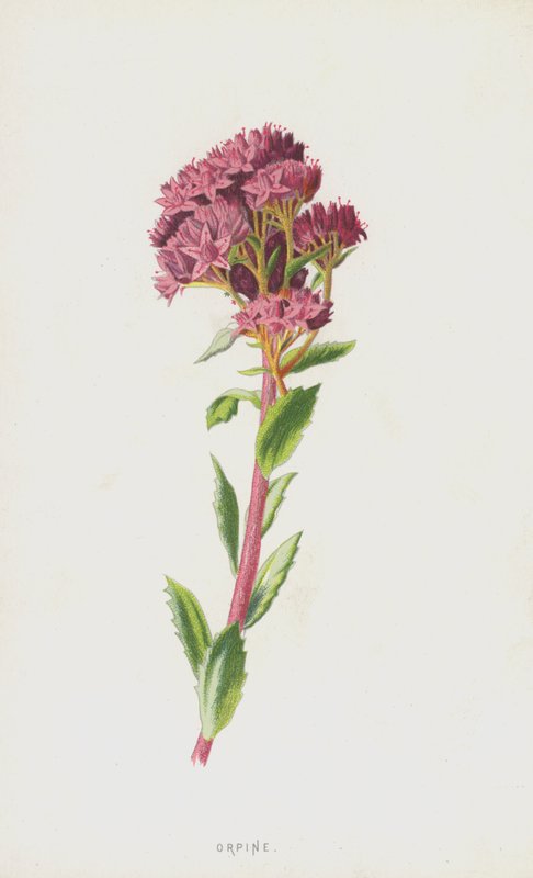 Hemelsleutel door Frederick Edward Hulme
